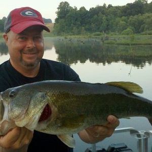 Meet your Posher, Joe